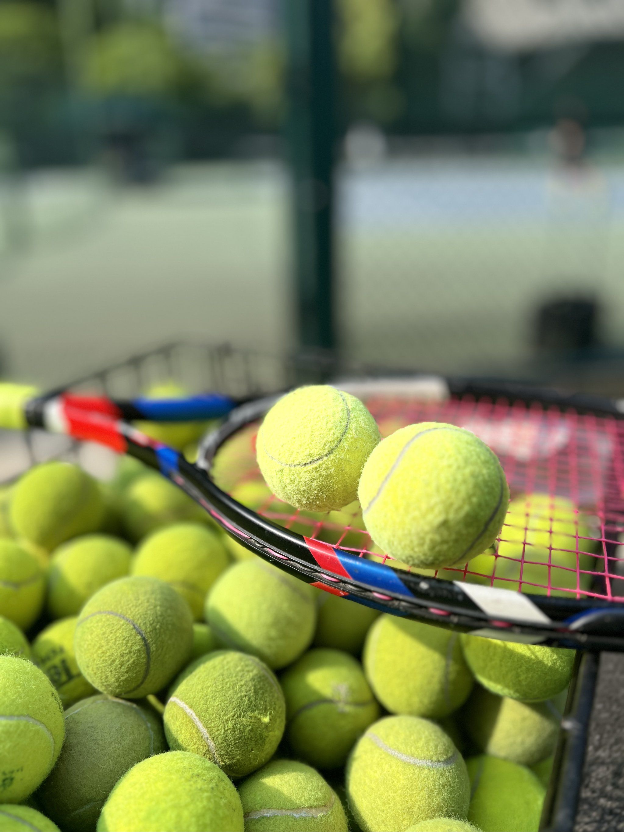 能力不足以 能力不足以